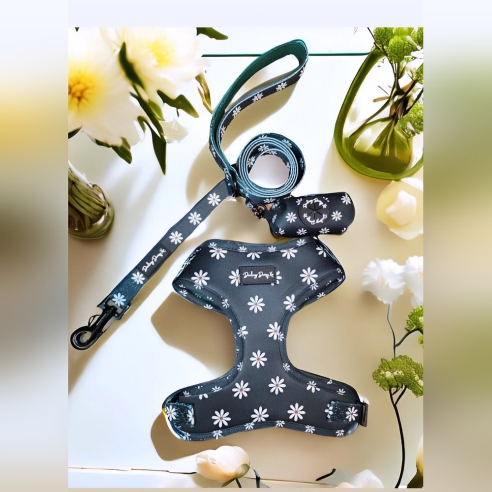 Dog Harness and Leash